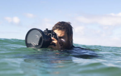 THE COMMUNITY. EXPOSICIÓN 26 DE FEBRERO