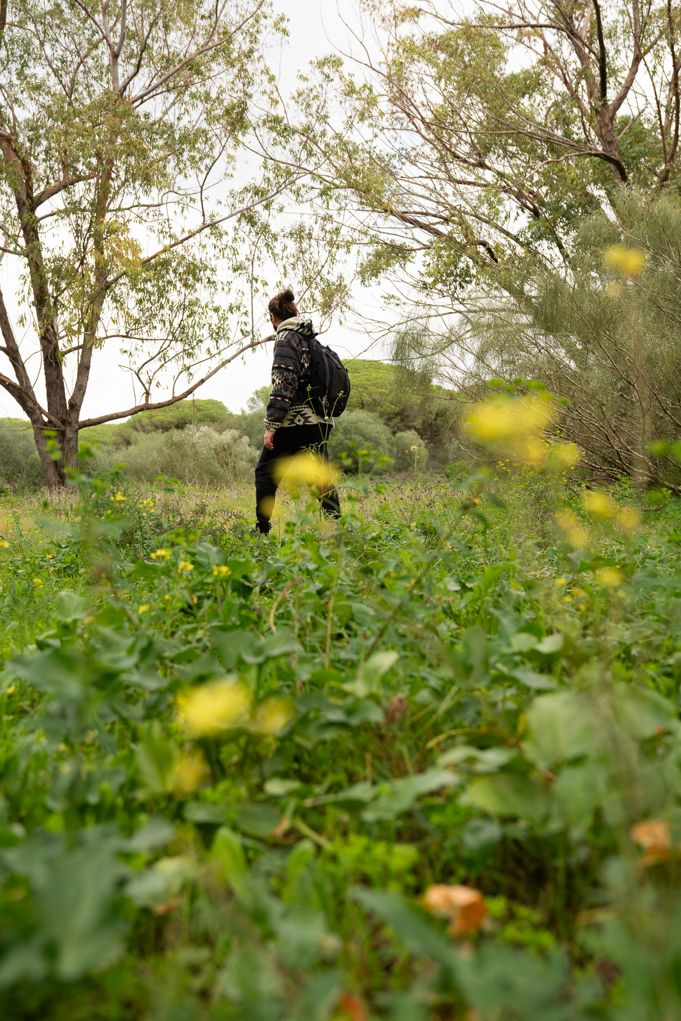 LOS CAÑOS DE MECA, EL PALMAR, SURF