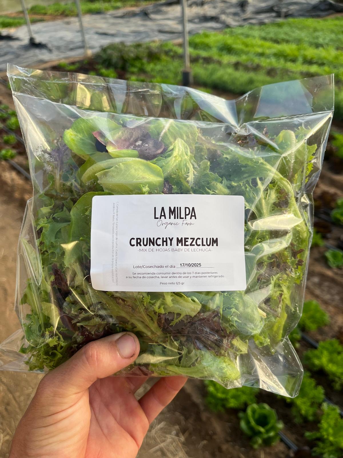 WhatsApp Image 2025-10-23 at 19.14.40 (3) ALIMENTACIÓN CONSCIENTE Y MICROBIOTA