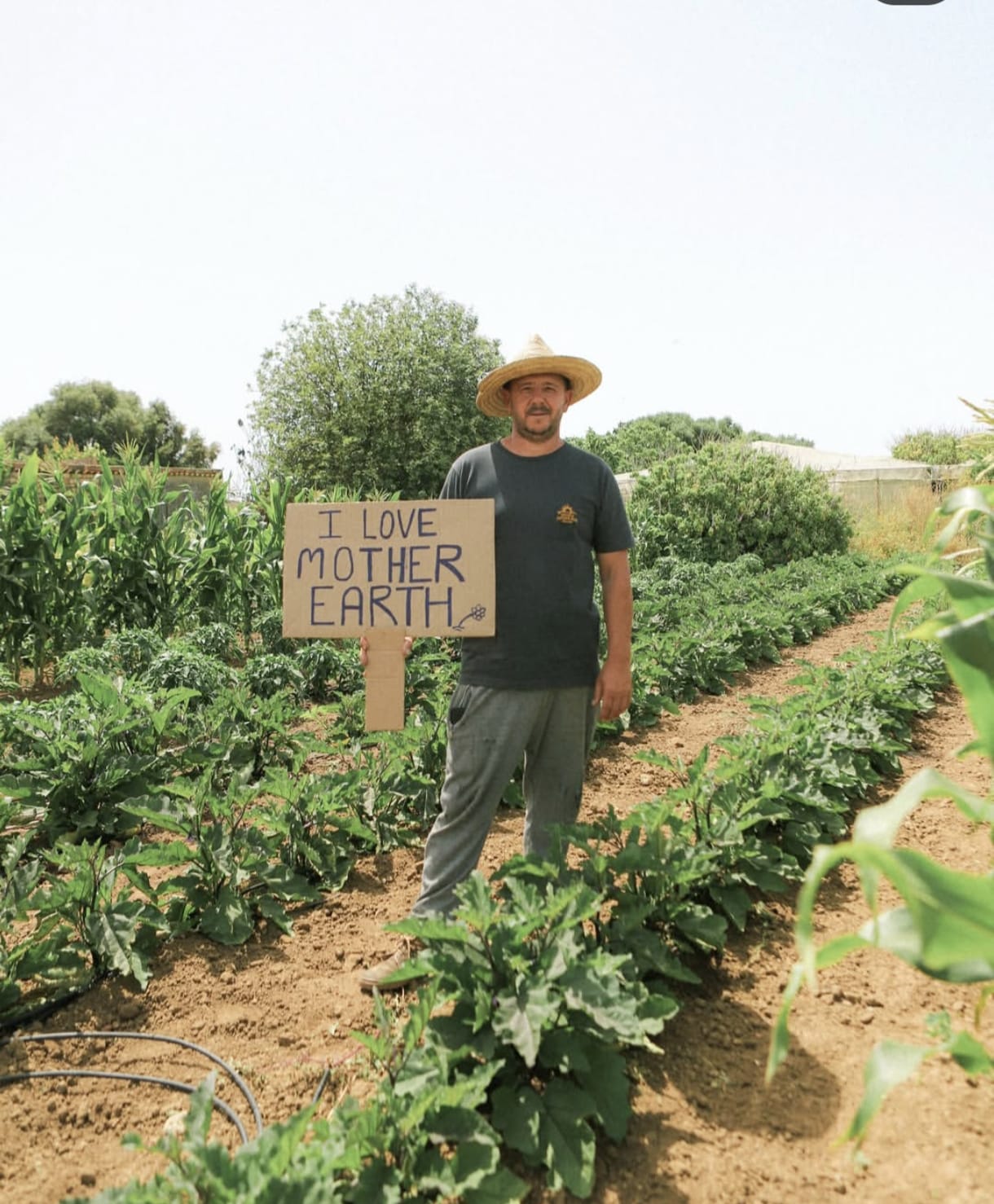 WhatsApp Image 2025-10-24 at 12.35.01 ALIMENTACIÓN CONSCIENTE Y MICROBIOTA