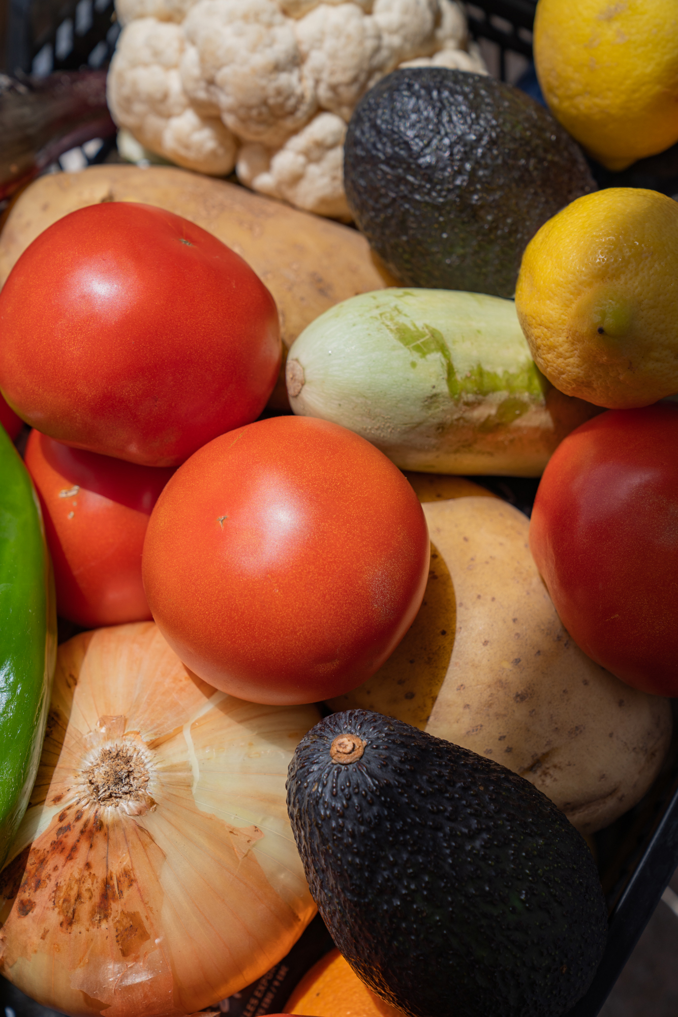 ALIMENTACIÓN CONSCIENTE Y MICROBIOTA